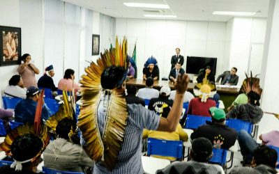 AGENDA DO CONSELHO TERENA TEM INÍCIO EM BRASÍLIA COM COBRANÇAS AO PRESIDENTE DA FUNAI: “NÃO VAMOS SAIR DAS NOSSAS TERRAS”