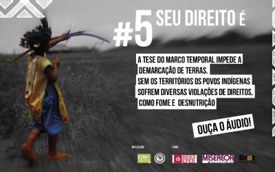 Conheça as organizações que também lutam contra a tese do marco temporal