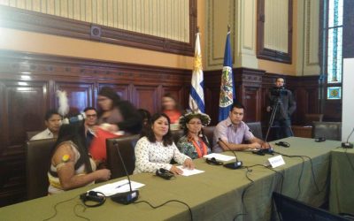 Coiab e APIB participam de audiência na Comissão Interamericana de Direitos Humanos
