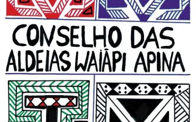 APINA’s statement about the invasion of Wajãpi Indigenous Land