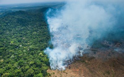 Nota de rechazo contra el proceso de destrucción de la Amazonía por parte del gobierno de Bolsonaro