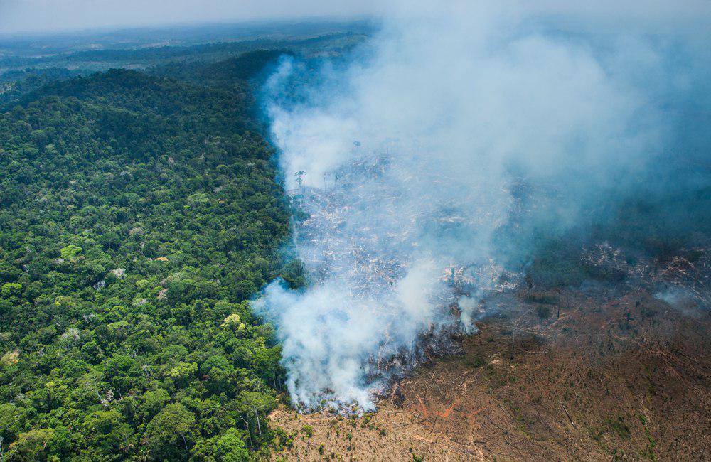 Report note against Amazon destruction process by the Bolsonarian government