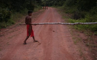 Quarta nota do Apina sobre invasão da Terra Indígena Wajãpi