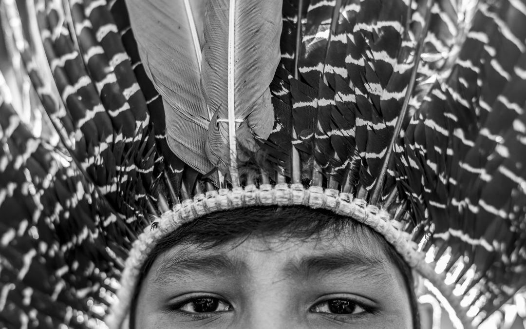 VUKÁPANAVO – o despertar do povo Terena para os seus direitos: movimento indígena e confronto político