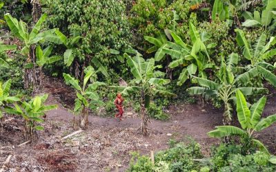 Funai exonera coordenador de índios isolados e indigenistas repudiam interferência ideológica