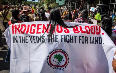 Contra a representação indígena na delegação do governo brasileiro na ONU