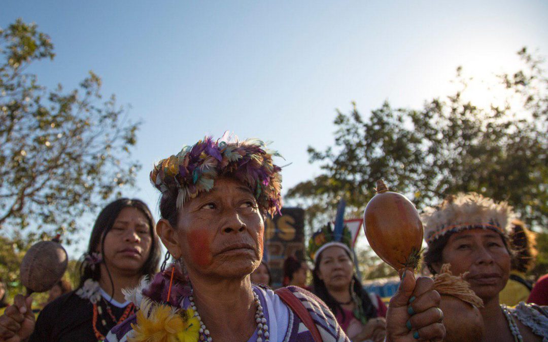 Carta pública do povo Guarani: em luta contra o fim do mundo