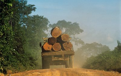 APIB note about  data of Brazil’s increasing deforestation