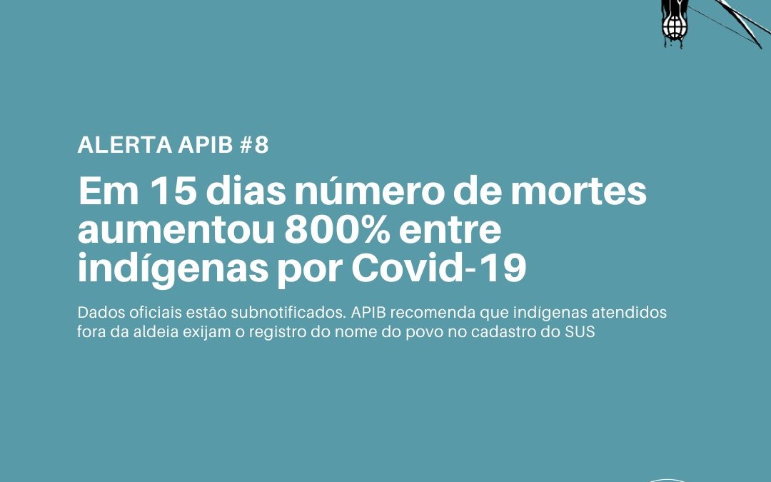 #08: Em 15 dias número de mortes aumentou 800% entre indígenas por covid-19