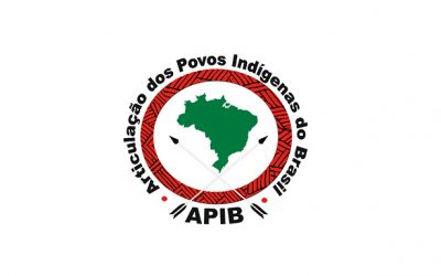 Coronavirus: APIB Articulates Strategies with State Governors to protect Indigenous Peoples across Brazil