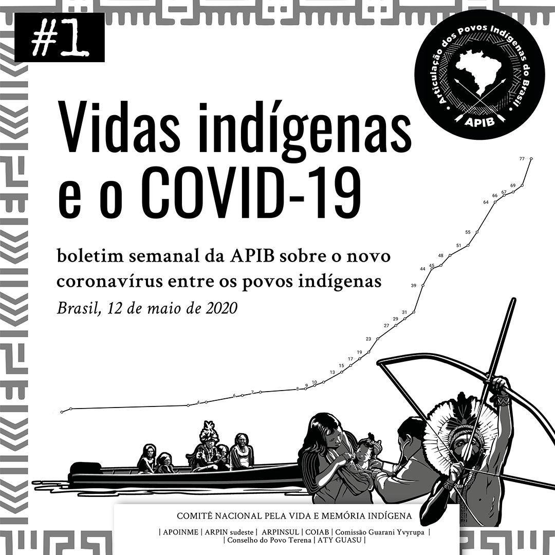 Apib Apib organiza comitê para registrar avanço da Covid-19 sobre povos ...
