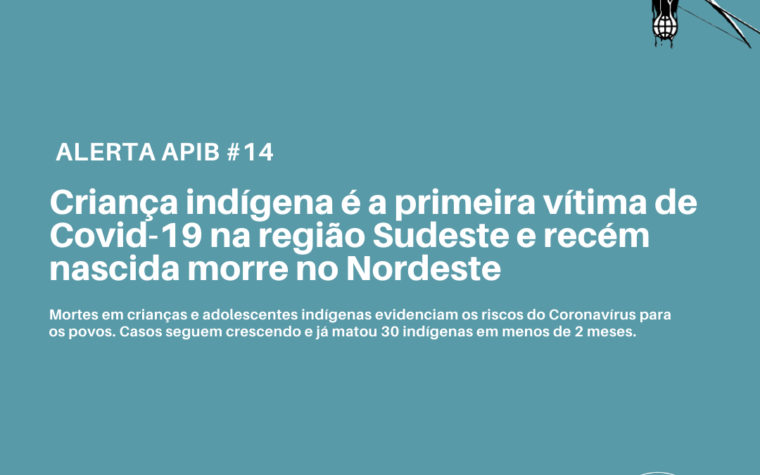 14 Crianca Indigena E A Primeira Vitima De Covid 19 Na Regiao Sudeste E Recem Nascido Morre No Nordeste Apib