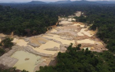 Demarcação da Terra Indígena Apyterewa sob risco no STF