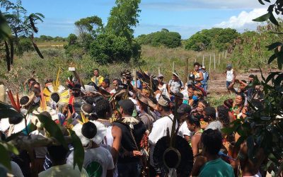 Pataxó Resite: Comunidade Novos Guerreiros recorre ao STF contra reintegração de posse