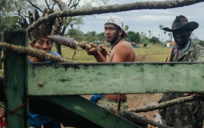 Justiça Federal decide pela continuidade da demarcação da Terra Indígena Cachoeirinha, em MS