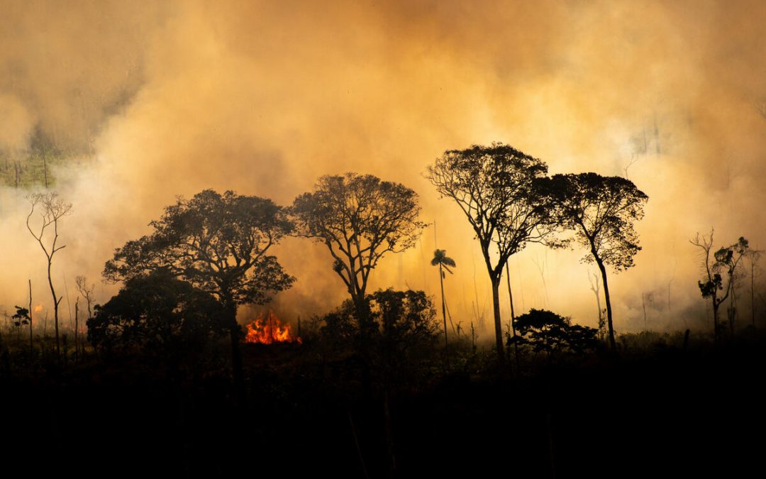 Sociedade civil vai ao STF exigir retomada imediata de plano de combate ao desmatamento na Amazônia