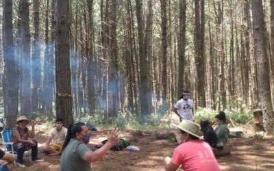 CNDH intervém junto ao STF para evitar reintegração de posse contra povo Xokleng