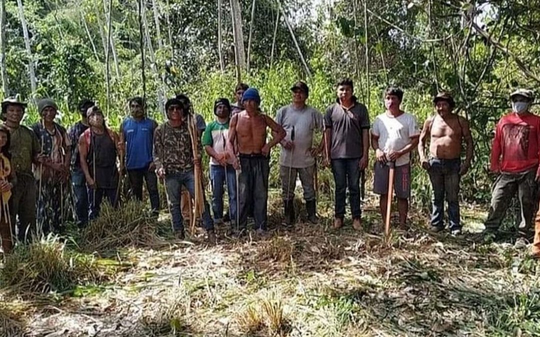 CIDH emite medida cautelar obrigando Brasil a proteger povos Guajajara e Awá no Maranhão