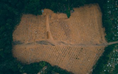 Mobilização virtual reúne lideranças, artistas, religiosos e pesquisadores para protestar pela vida no Amazonas!