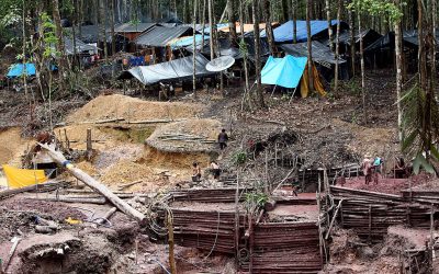 Lei que aprova garimpos em Roraima é inconstitucional, denuncia Apib