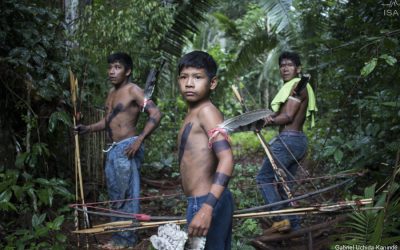 Relatório da ONU aponta que povos indígenas são os melhores guardiões das florestas da América Latina e do Caribe