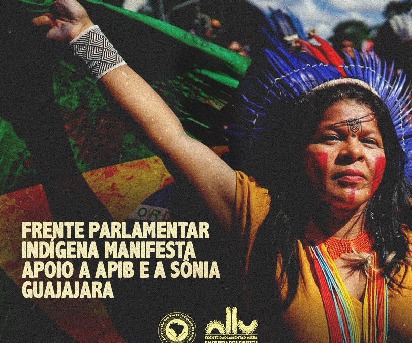 Frente Parlamentar Indígena manifesta apoio a Apib e a Sônia Guajajara
