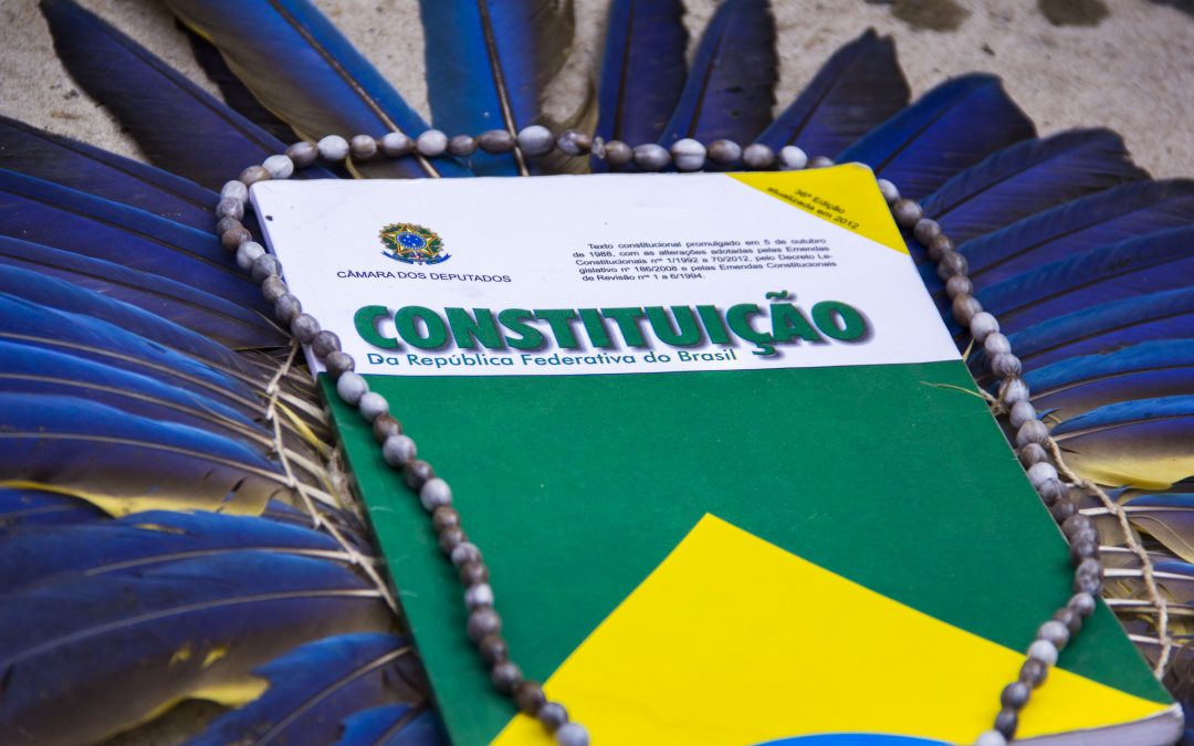 Brazil’s Justice nullifies investigation that tries to persecute the indigenous leader Sonia Guajajara and the Articulation of the Indigenous Peoples of Brazil