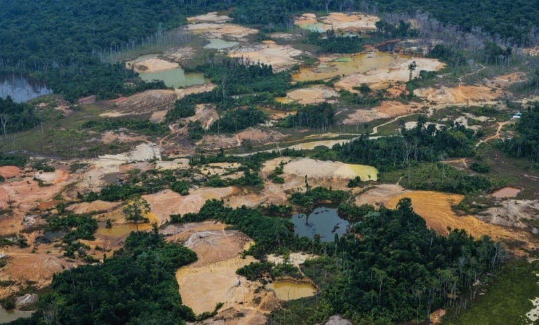 APIB pede que STF determine a retirada dos invasores da TI Yanomami