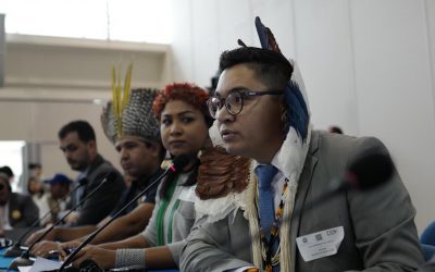 APIB presents a formal reclamation to the Inter-American Commission to prevent a new massacre of Munduruku, Yanomami and Guajajara peoples