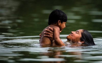 Transformação ecológica em larga escala ameaça Amazônia, diz painel global