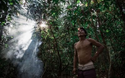 CARTA DE TARUMÃ:  Declaração dos povos indígenas da Amazônia brasileira frente à crise climática