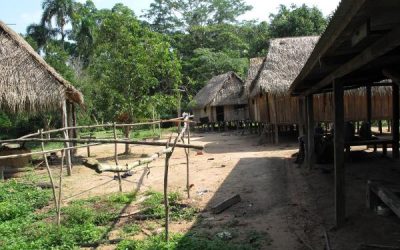 Povo indígena Wajuru enfrenta invasões e violência em Rondônia