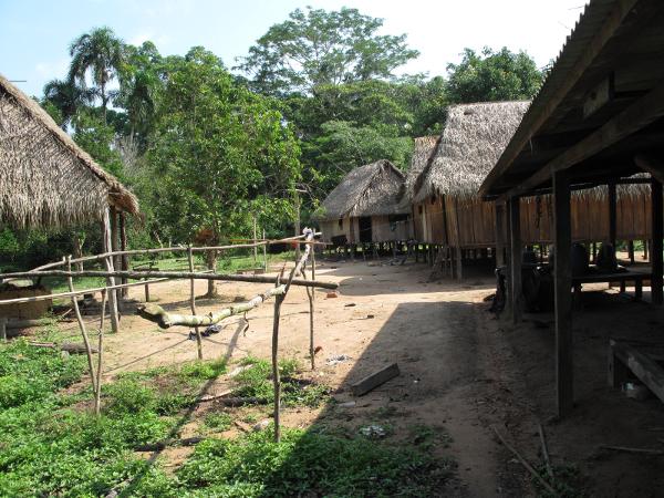 Povo indígena Wajuru enfrenta invasões e violência em Rondônia