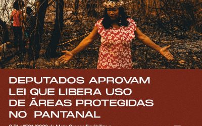Deputados aprovam PL que libera uso de áreas protegidas e afeta povos tradicionais que vivem no Pantanal