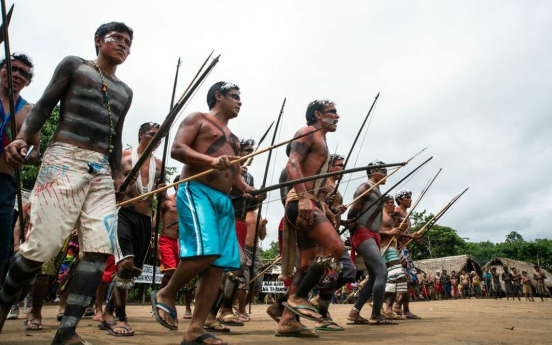 Assassinatos e ataques aos territórios indígenas se intensificam durante o período eleitoral
