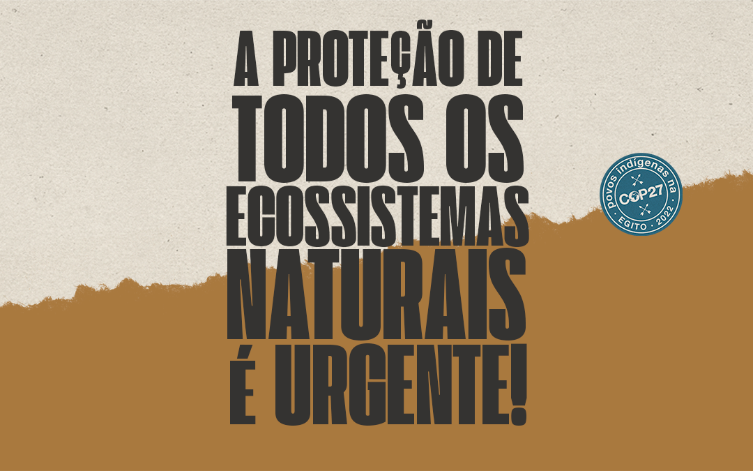 Sobre proteção urgente do Cerrado e outros ecossistemas naturais