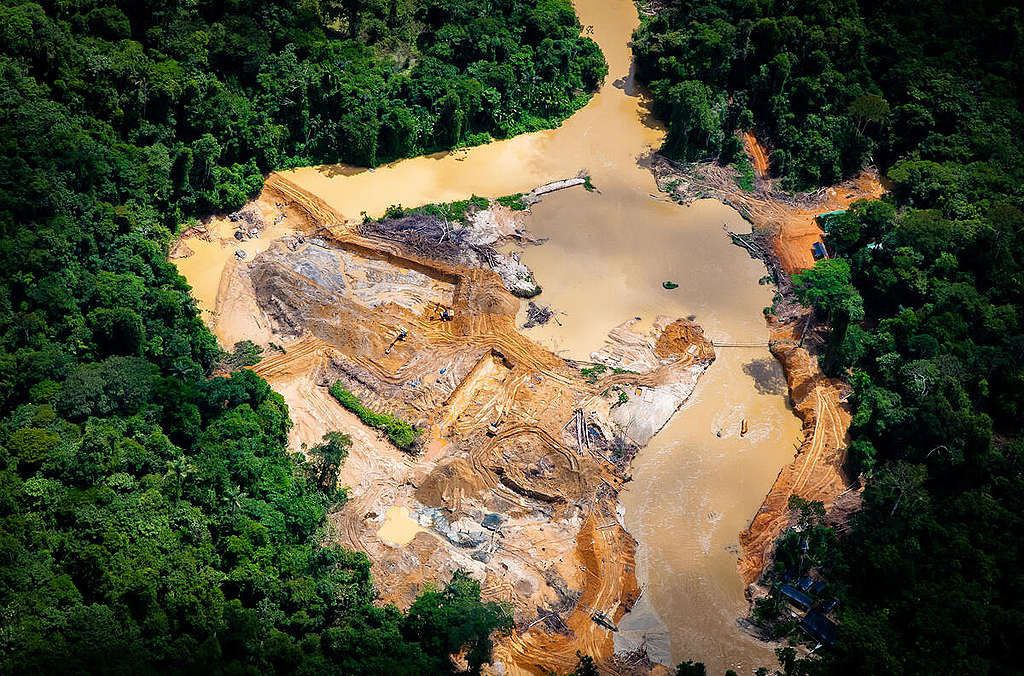 A morte dos rios - Greenpeace Brasil