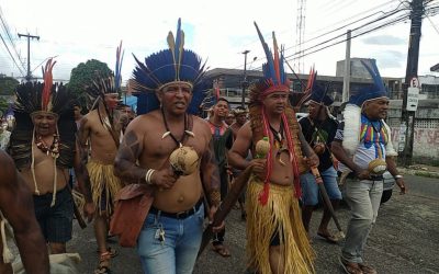 Povo Tabajara denuncia desmate e construção ilegal em área reivindicada para demarcação na PB