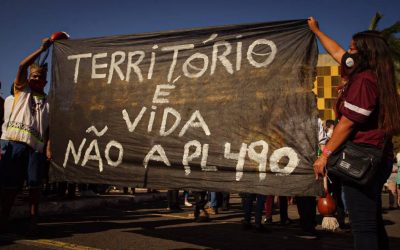 PL 490 e MP 1154 representam retrocesso para os direitos dos povos indígenas e para a preservação dos biomas brasileiros, afirmam lideranças da Apib