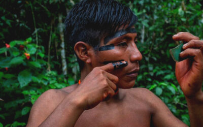 No STF, Apib afirma que Ministério da Defesa dificulta desintrusão na TI Yanomami