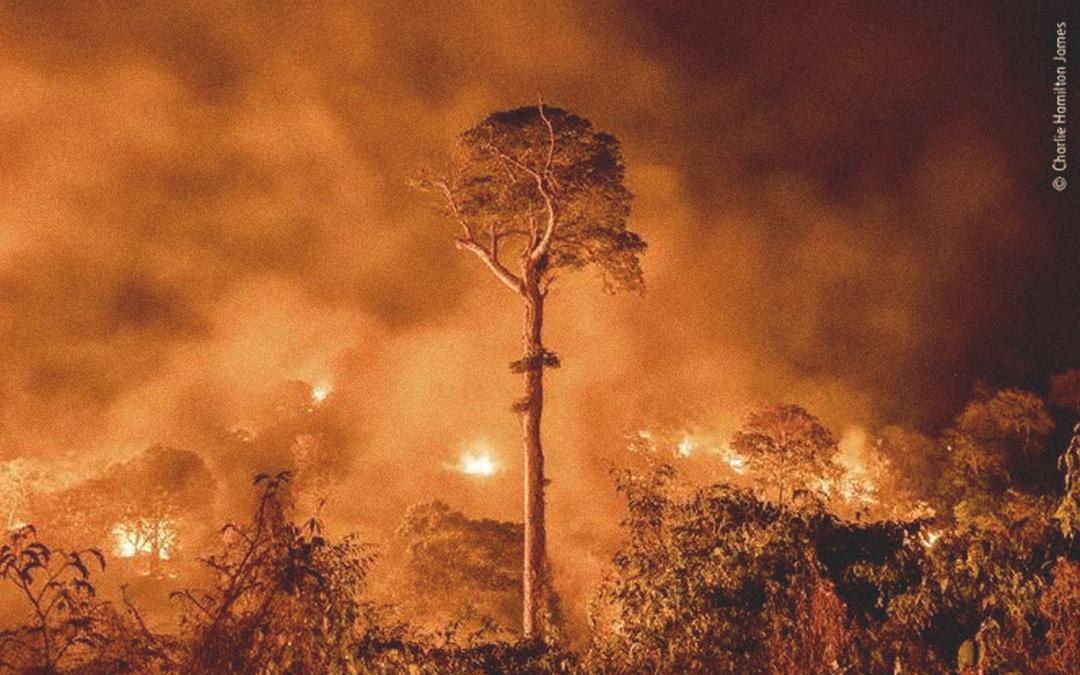PL da Devastação: o desmonte do licenciamento ambiental e as ameaças aos direitos indígenas