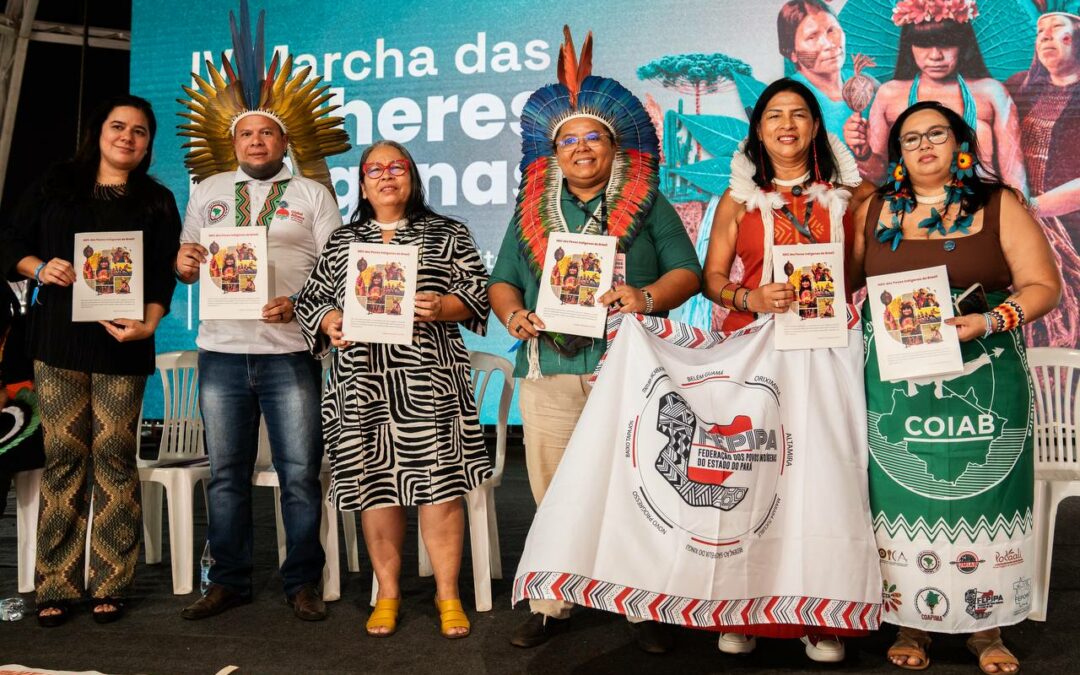 Apib lança NDC Indígena: Nossos Territórios são a Resposta à Crise Climática