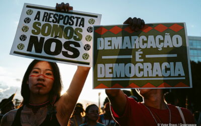 Em Belém, capital do Pará, movimento indígena reivindica legado de demarcação e proteção territorial para a COP30