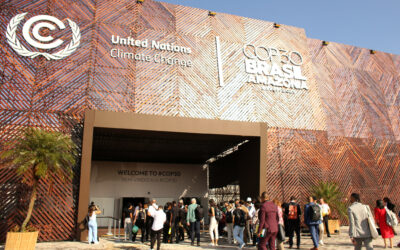 NOTA DA APIB À IMPRENSA SOBRE O OCORRIDO NA NOITE DA TERÇA-FEIRA (11/11)