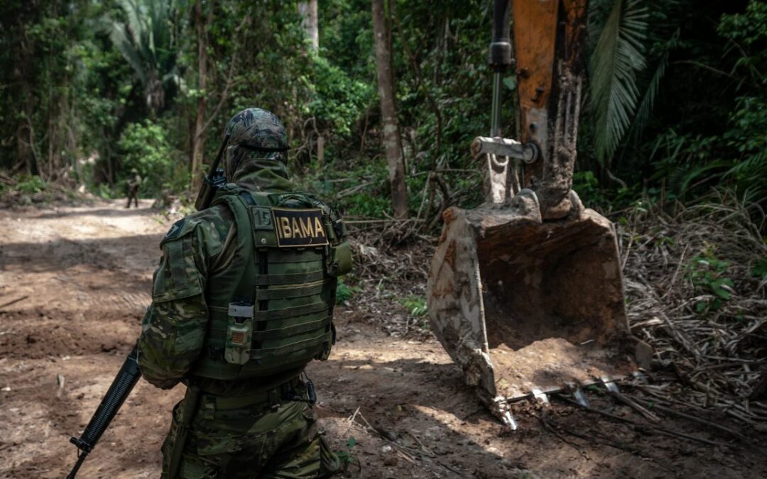 APIB manifesta indignação com o assassinato do colaborador do Ibama na Terra Indígena Apyterewa (PA)