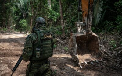 APIB manifesta indignação com o assassinato do colaborador do Ibama na Terra Indígena Apyterewa (PA)